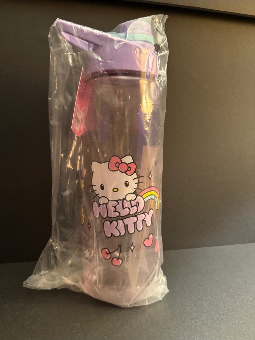 Sanrio - Hello Kitty Pink Purple Rainbow Water Bottle with Handle